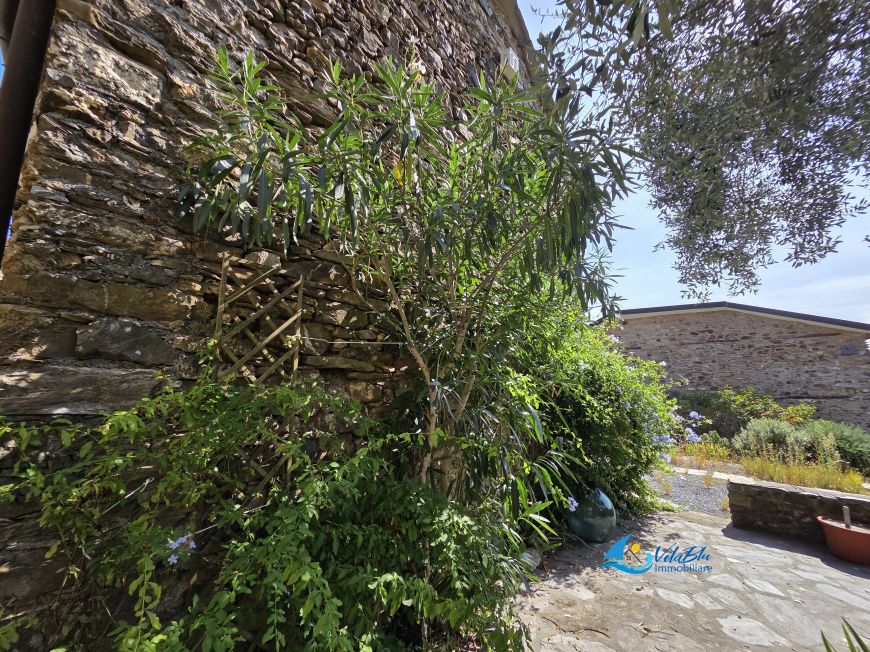 IL RIFUGIO TRA I VIGNETI | Ranzo (IM) - Terratetto unifamiliare