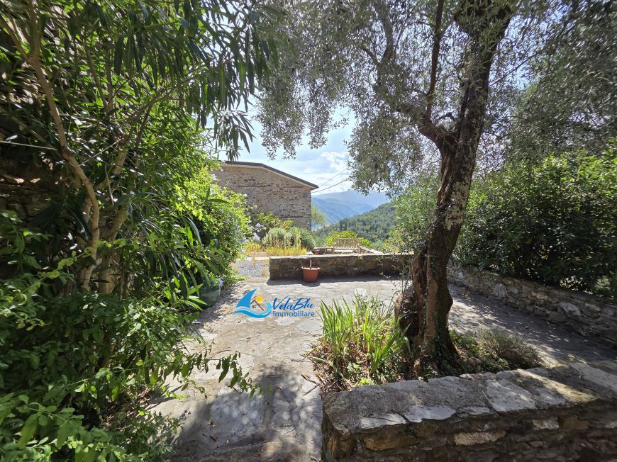 IL RIFUGIO TRA I VIGNETI | Ranzo (IM) - Terratetto unifamiliare