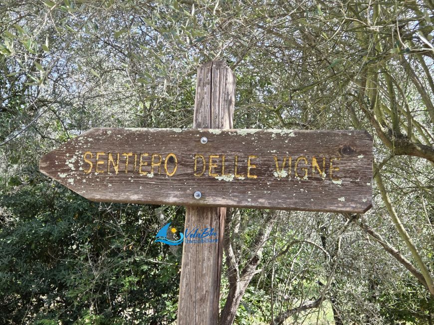 IL RIFUGIO TRA I VIGNETI | Ranzo (IM) - Terratetto unifamiliare