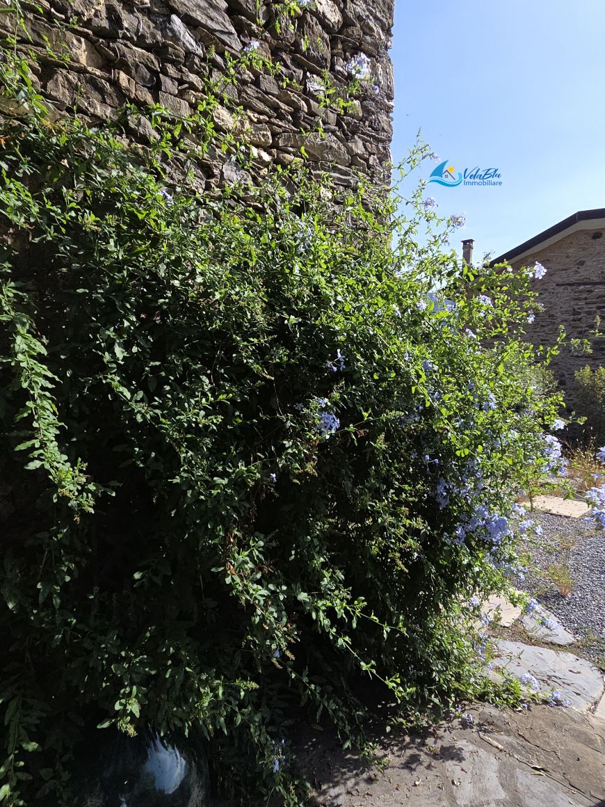 IL RIFUGIO TRA I VIGNETI | Ranzo (IM) - Terratetto unifamiliare