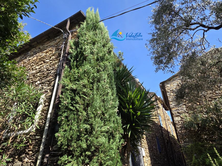 IL RIFUGIO TRA I VIGNETI | Ranzo (IM) - Terratetto unifamiliare