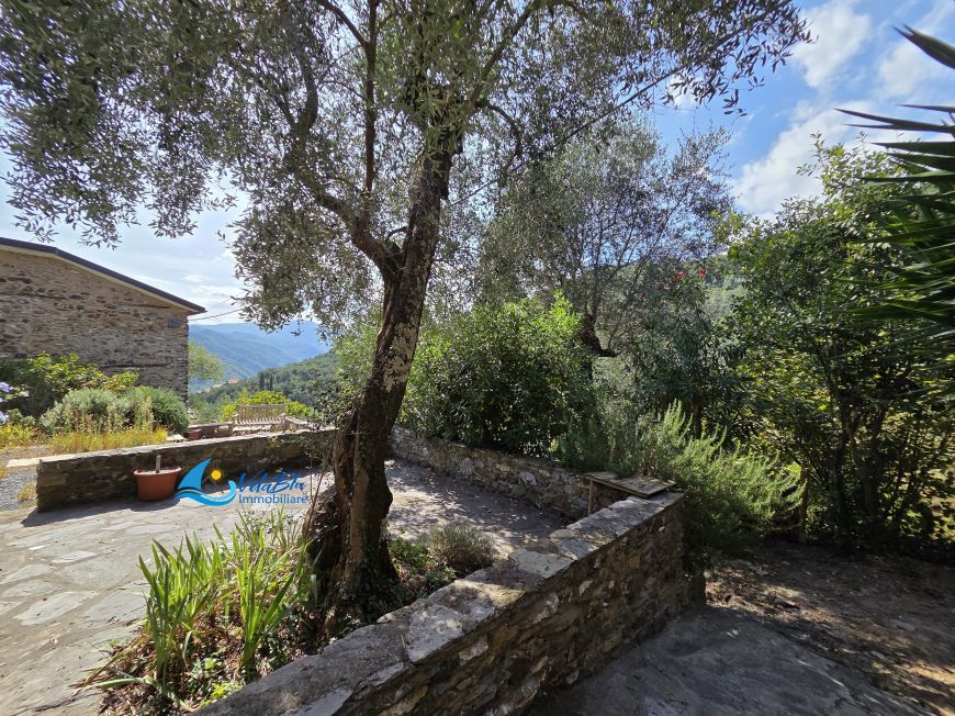 IL RIFUGIO TRA I VIGNETI | Ranzo (IM) - Terratetto unifamiliare